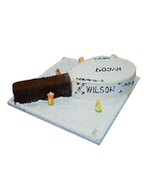 Dečije rođendanske torte