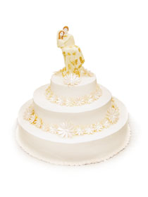 Mladenačke torte