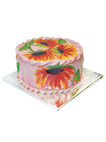 Mladenačke torte