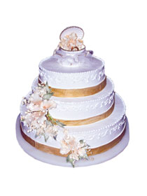 Mladenačke torte