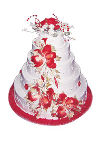 Mladenačke torte