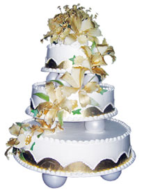 Mladenačke torte