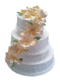 Mladenačke torte