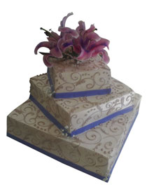 Mladenačke torte