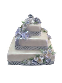 Mladenačke torte