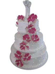Mladenačke torte