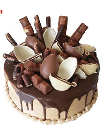 Svečane torte