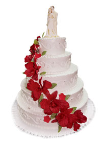 Mladenačke torte