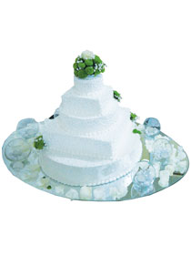 Mladenačke torte