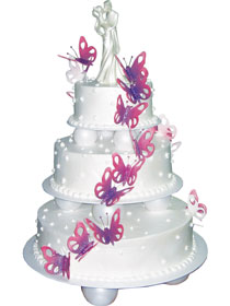 Mladenačke torte