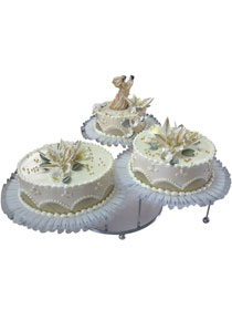 Mladenačke torte